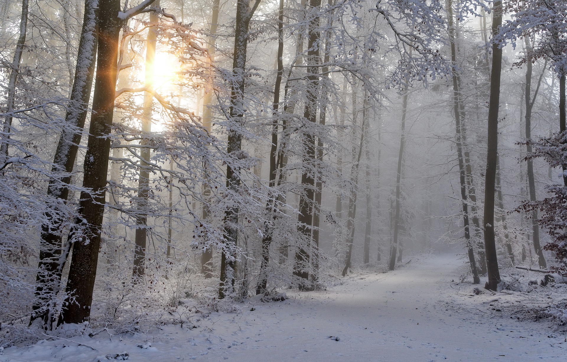 Zima coraz bliżej – jak wzmocnić układ odpornościowy?