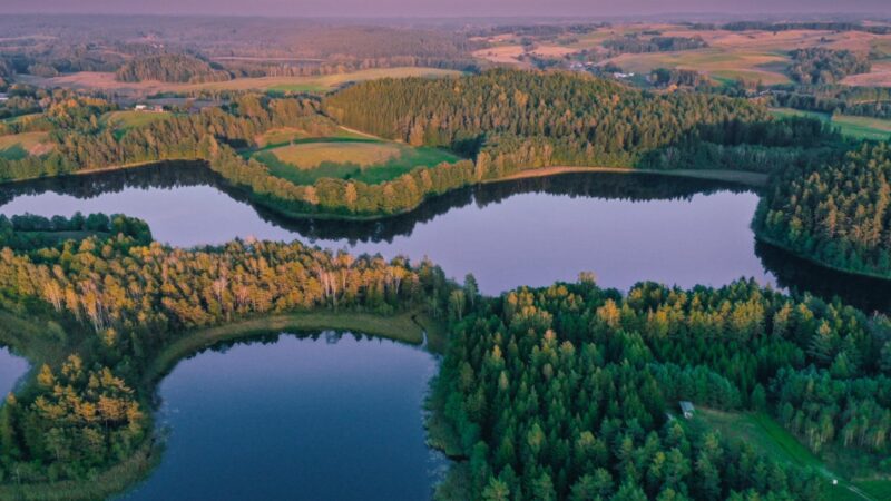 Miejsce przypominające krainę tysiąca jezior niedaleko Poznania